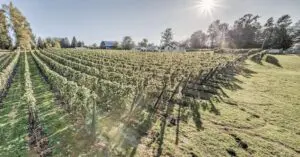 Bikes & Beverages 1: South Langley Wine, Cider & Mead Route