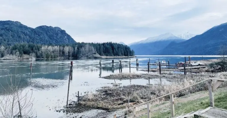 Medium Cycle: Pitt River Dyke & Pitt-Addington Marsh Gravel Cycle