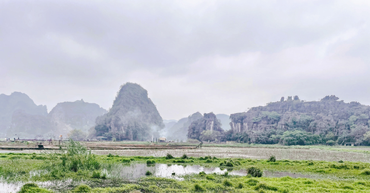Fields in Ninh Binh - Featured Image