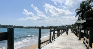 a bike rider along a boardwalk with palm trees, a golden sandy beach and the ocean waves lapping