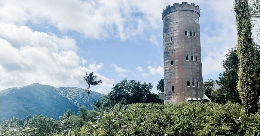 A Day in El Yunque National Park