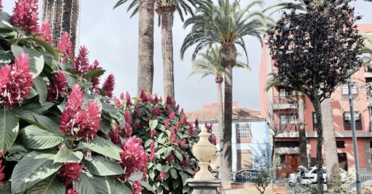 5 Day Itinerary for Tenerife, Canary Island