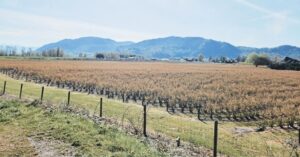 Short Cycle: Abbotsford Gravel Ride Along the Fraser River