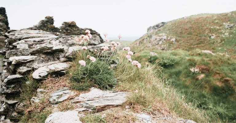 Rocky Valley & St Nectan's Glen Hike near Tintagel, Cornwall