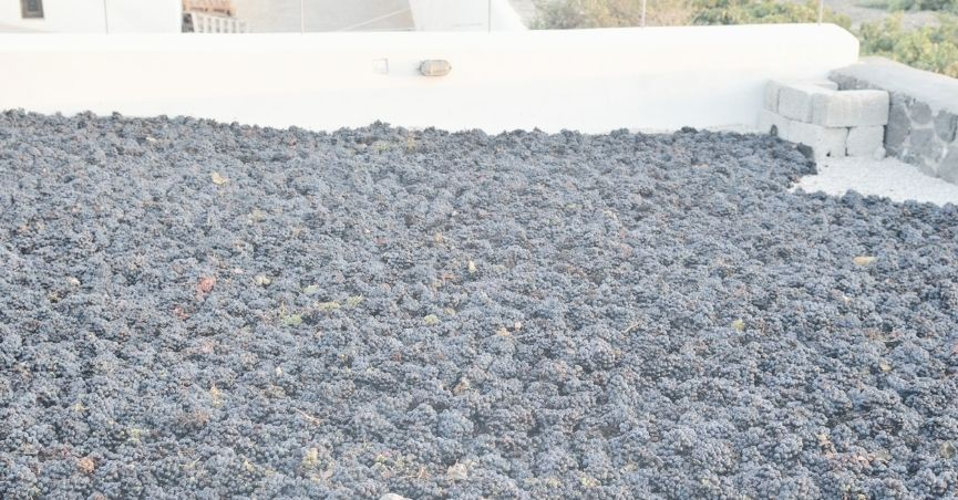 Santorini Wine Tour and Tasting: A Complete Vineyard Experience